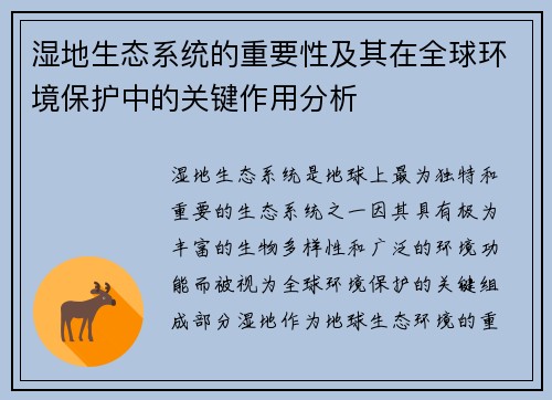 湿地生态系统的重要性及其在全球环境保护中的关键作用分析